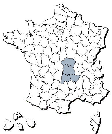 Departement Auvergne